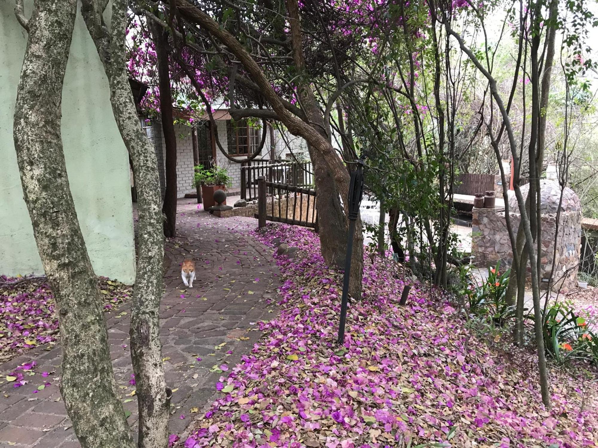فندق Old Joe'S Kaia Shoemanskloof المظهر الخارجي الصورة